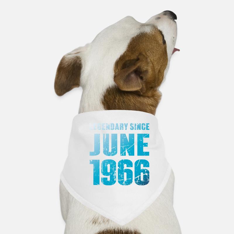 June 1966 Limited Edition Birthday Gift Dog Bandana
