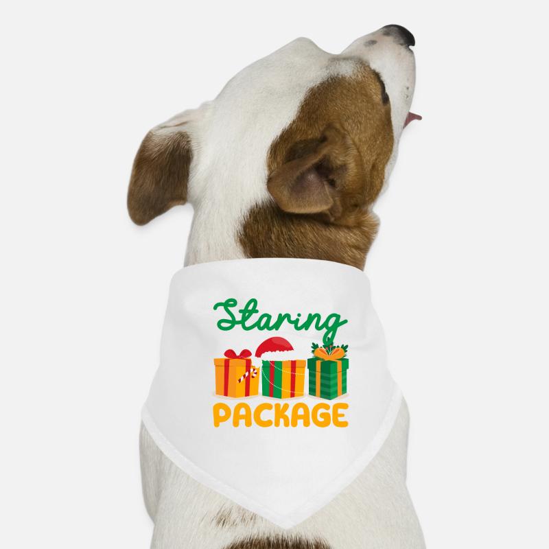Stop Staring At My Package Funny Christmas Dog Bandana
