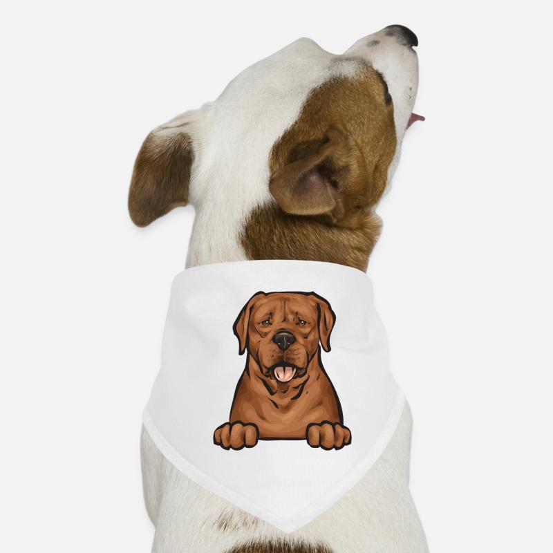 Fuchsroter Labrador Retriever Fox Red Labrador Hunde-Bandana