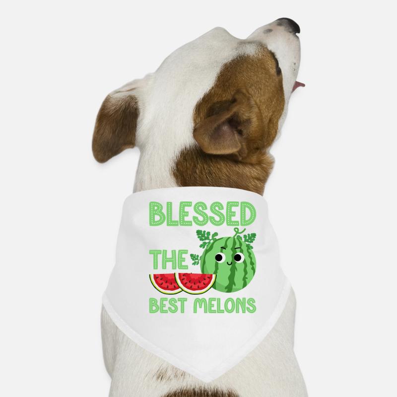 Melon Gift Hunde-Bandana