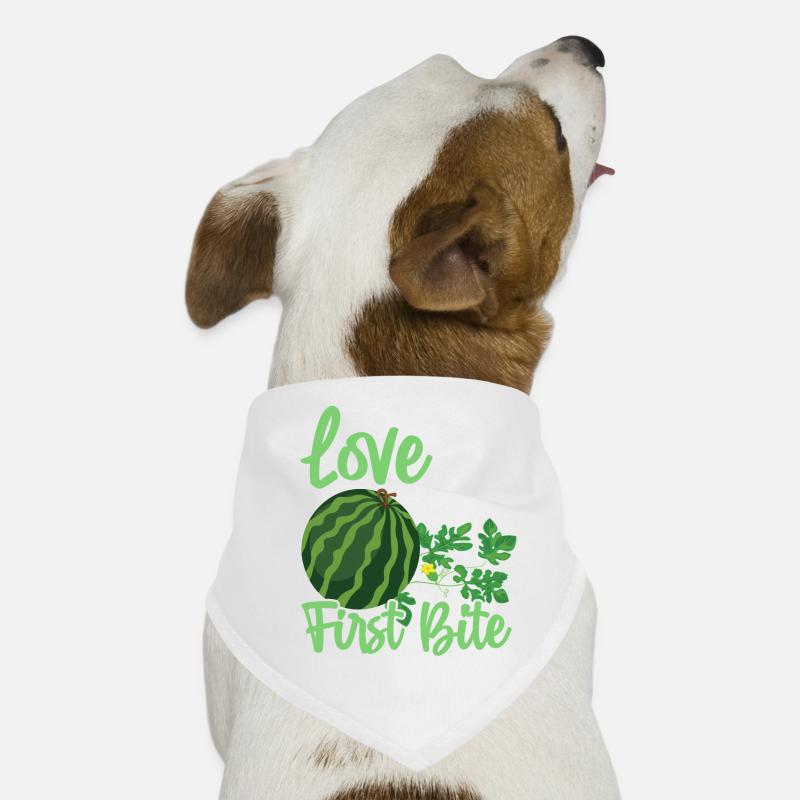 Melon Gift Hunde-Bandana