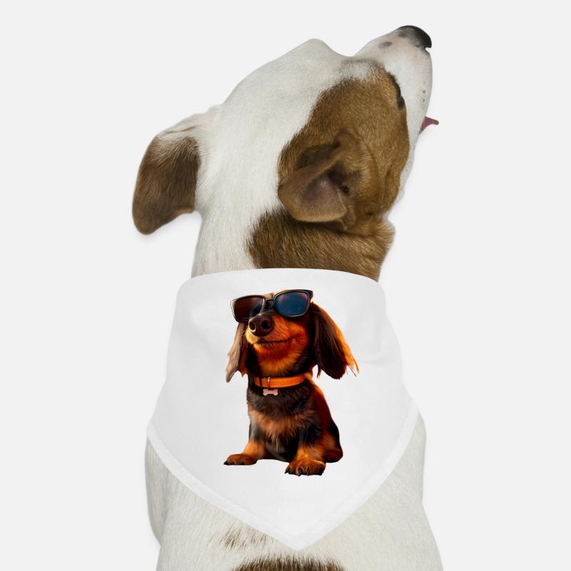 Teckel, Teckel, Teckel miniature, Dachshund Club, Teckel Bandana pour chien