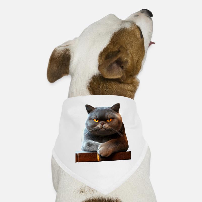 British Shorthair Chat BKH Chat Maman Chats Mignons Bandana pour chien