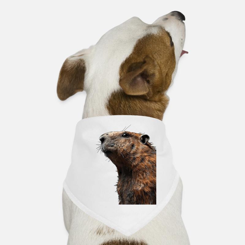 Marmot Dog Bandana