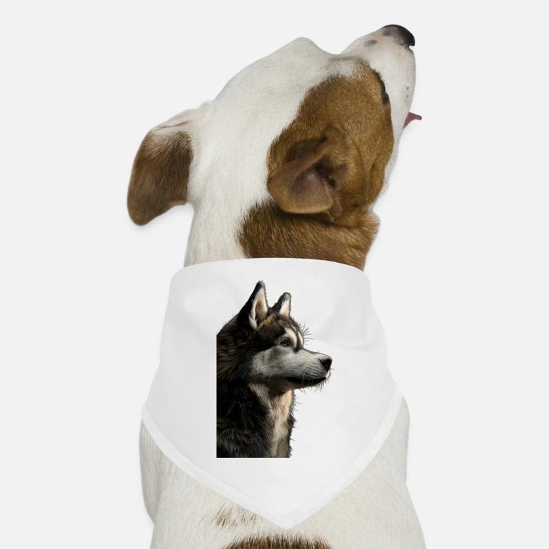 Malamute d’Alaska Bandana pour chien