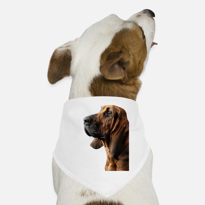 Hunde-Bandana