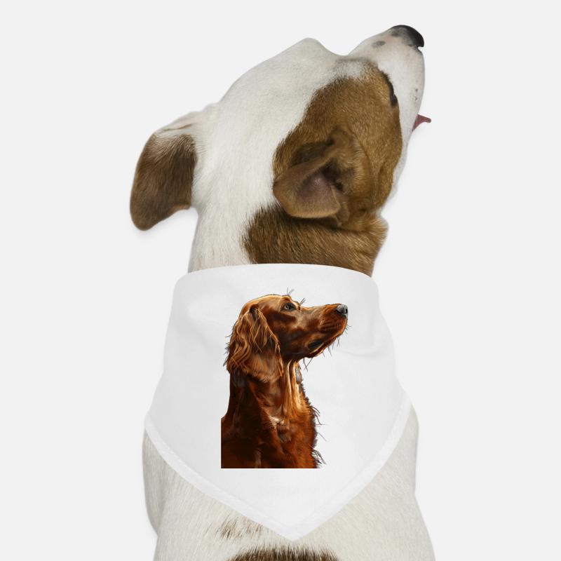 Irish Setter Hunde-Bandana
