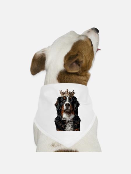 Bouvier bernois - Bandana pour chien - blanc