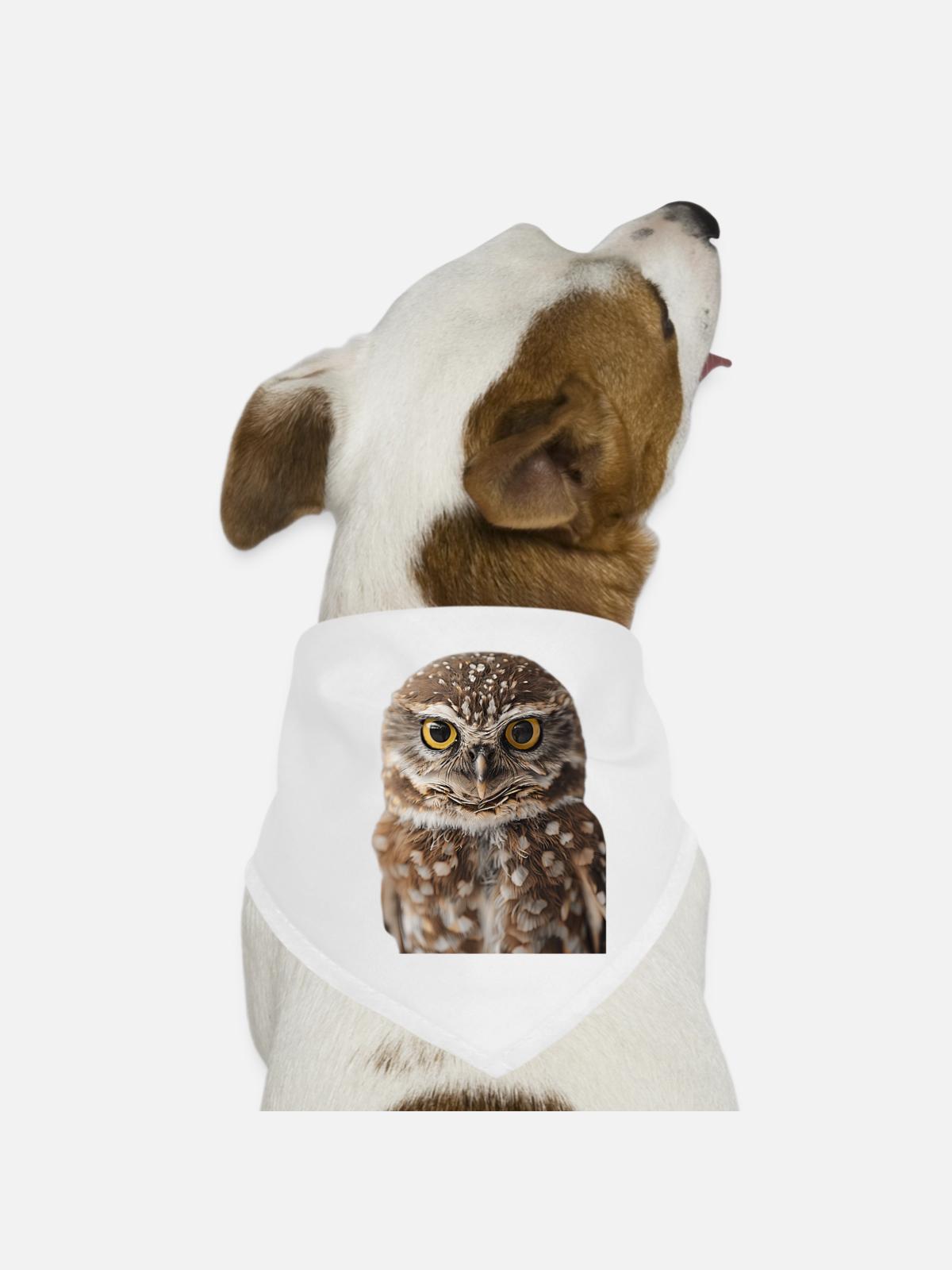 Eule - Hunde-Bandana - Weiß - Vorne