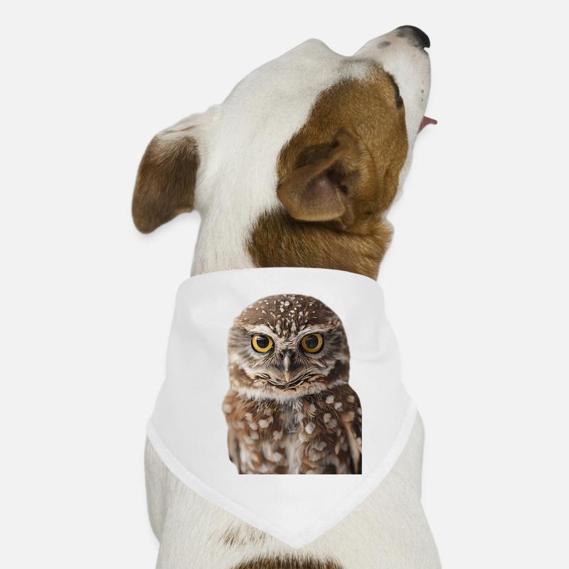 Hibou Bandana pour chien