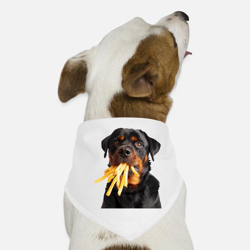 Rottweiler Dog Bandana