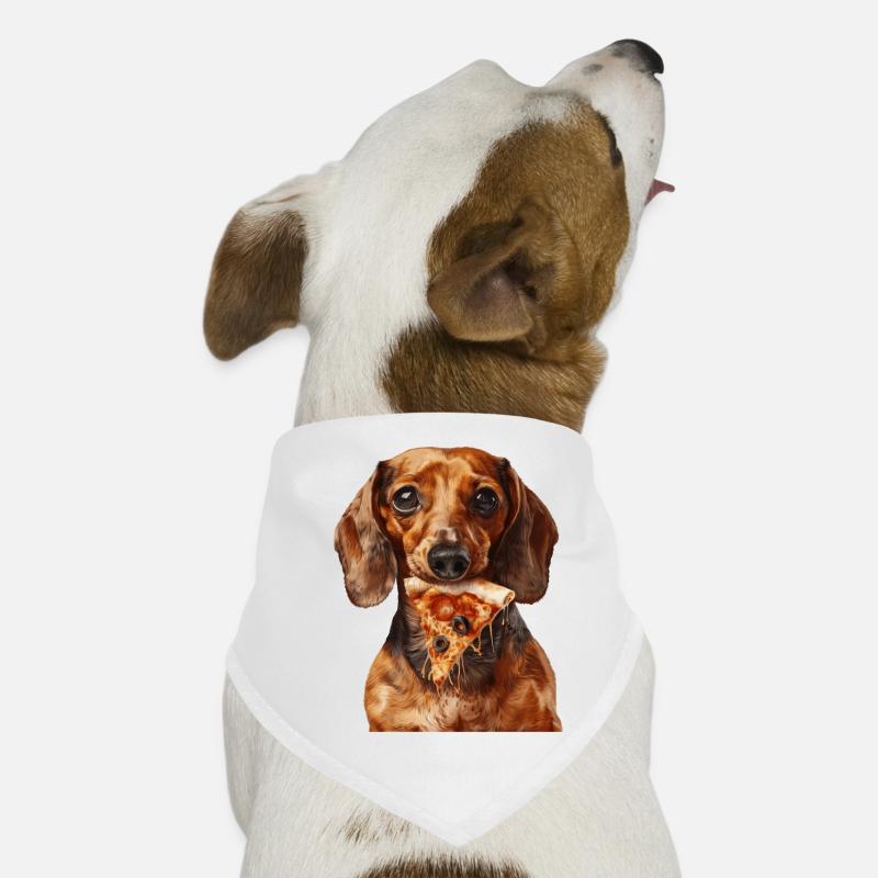 Teckel Bandana pour chien