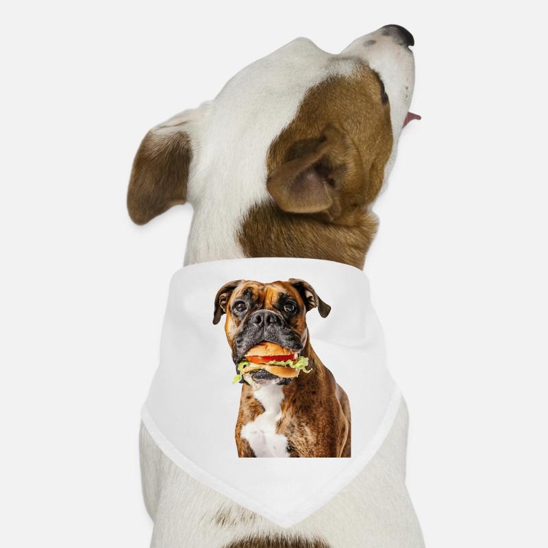 Boxer Dog Bandana