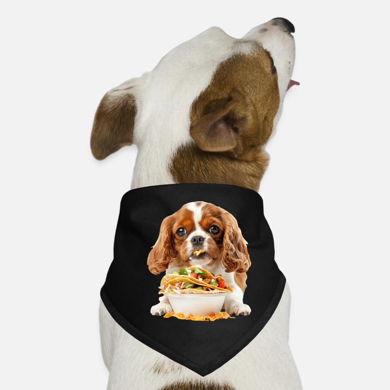 Cavalier King Spaniel Hunde-Bandana