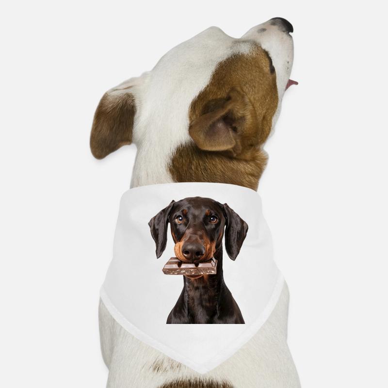 Dobermann - Hunde-Bandana - Weiß
