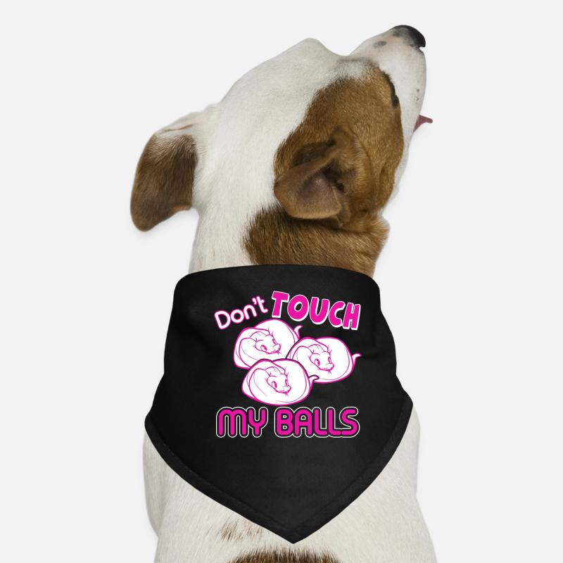 Python Don't Touch My Balls Dog Bandana