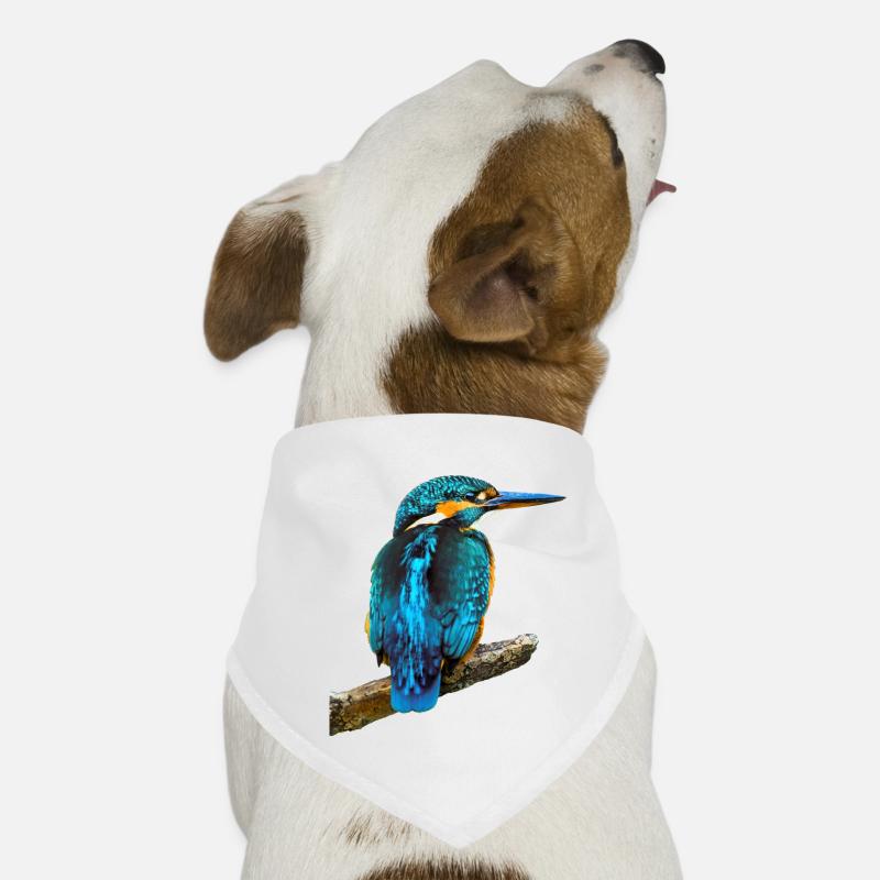 Eisvogel Alcedo atthis Hunde-Bandana
