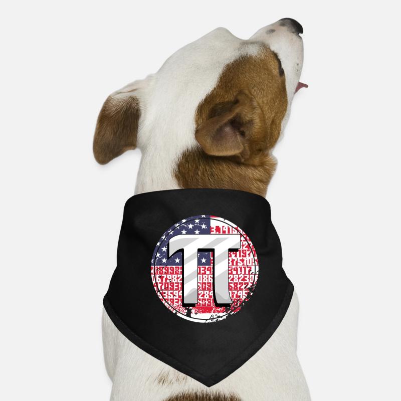 Numéros de balise Pi avec drapeau américain Bandana pour chien