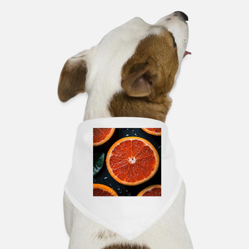 Grapefruit Hunde-Bandana