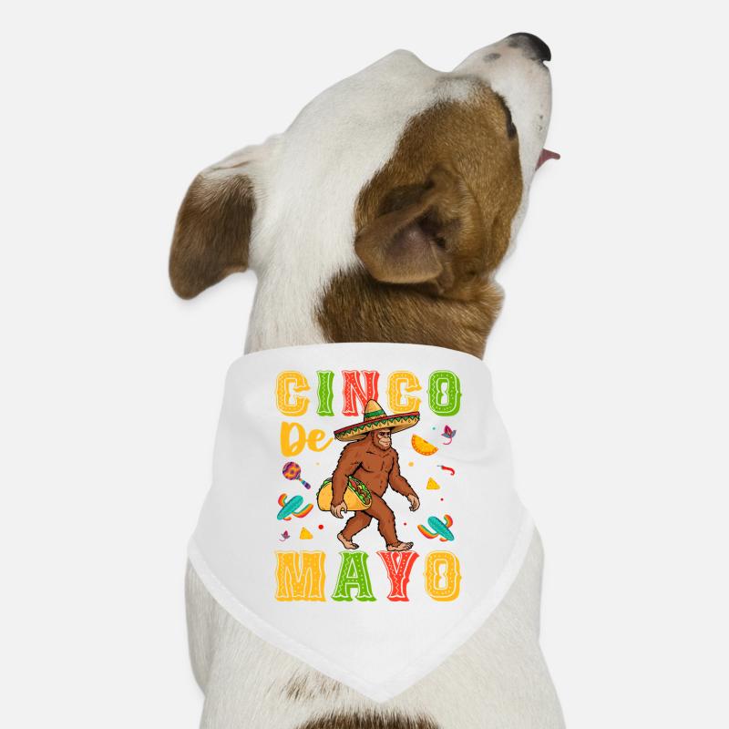 Cino De Mayo Bandana pour chien