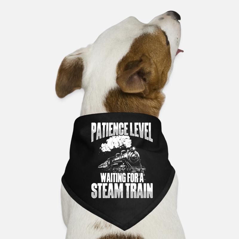 Train Driver Train Driver Train Enthusiast Station Bandana pour chien