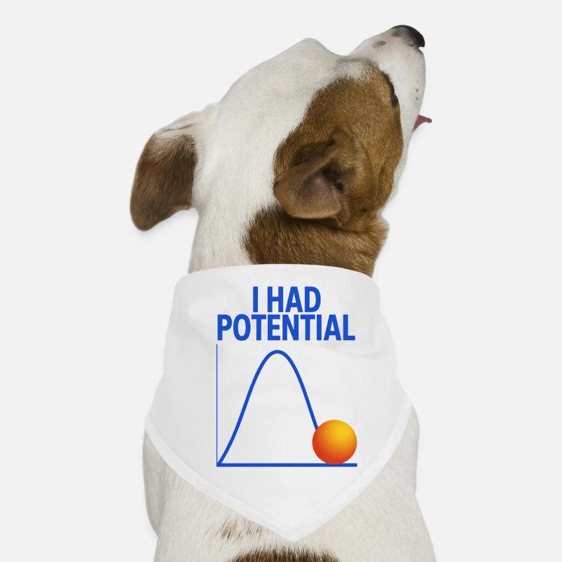 I Had Potential Graphics Physicist Joke Dog Bandana
