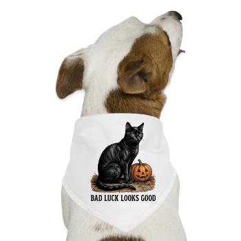 Bad Luck Looks Good Schwarze Katze - Hunde-Bandana - Weiß - Vorne