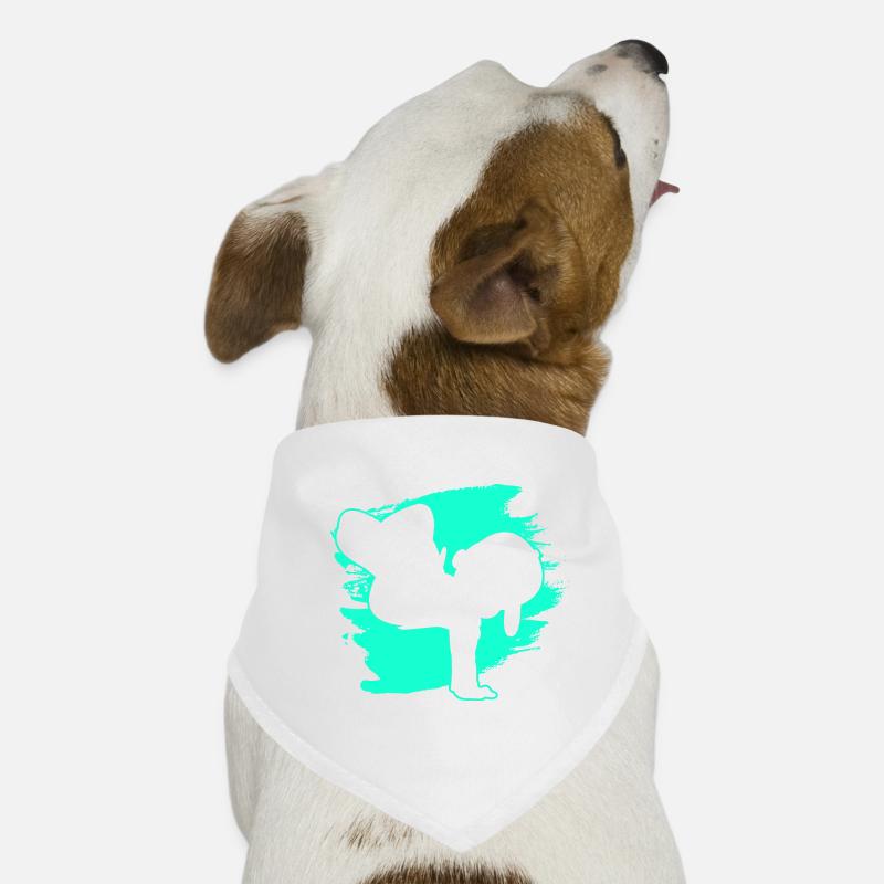 Breakdancer Breakdancing Boy Dog Bandana