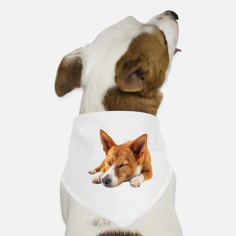 Basenji Hunde-Bandana