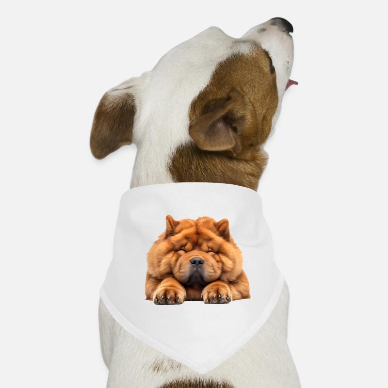 Chow Chow Hunde-Bandana