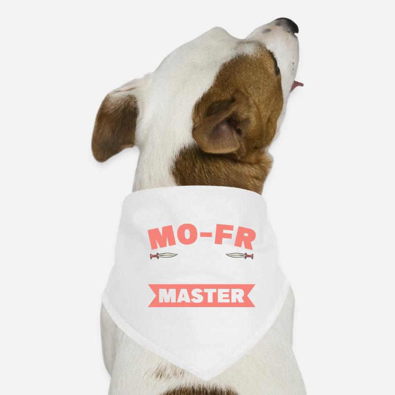 Jeu de rôle en direct GN Bandana pour chien
