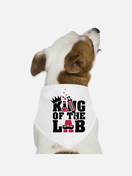 roi du laboratoire (d, 2c) - Bandana pour chien - blanc - Devant