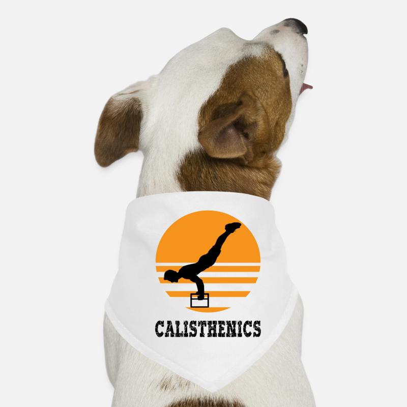 Gymnastique suédoise Bandana pour chien