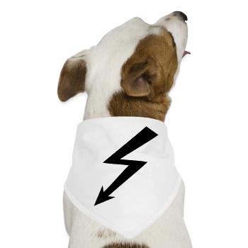 Blitz - Hunde-Bandana - Weiß - Vorne