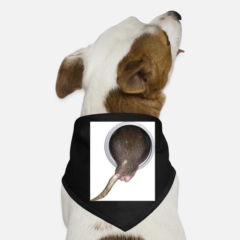 Ratte im Rohr hinter Hunde-Bandana
