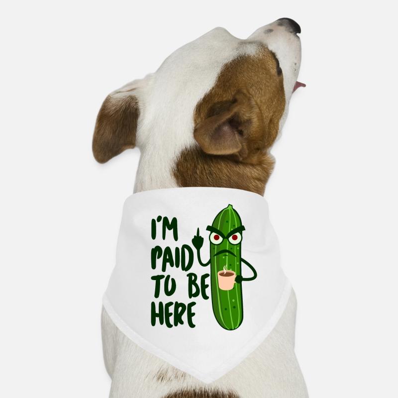 Hunde-Bandana