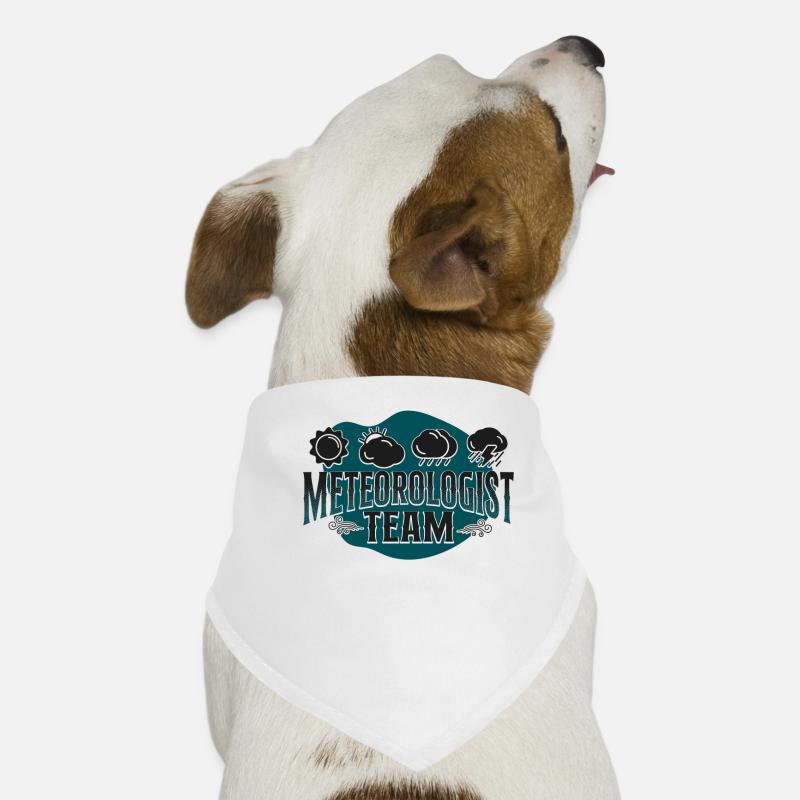 Meteorologist Weather Forecast Dog Bandana