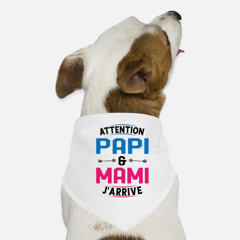 Papi et Mamie j'arrive Bandana pour chien