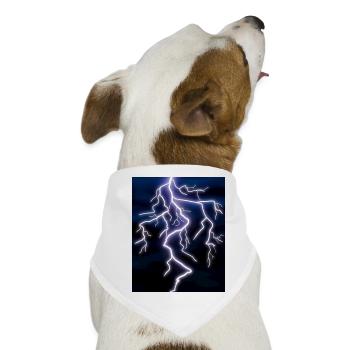 Blitz - Hunde-Bandana - Weiß - Vorne