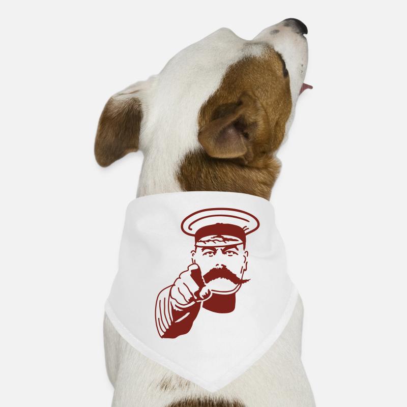 Je veux que vous Bandana pour chien