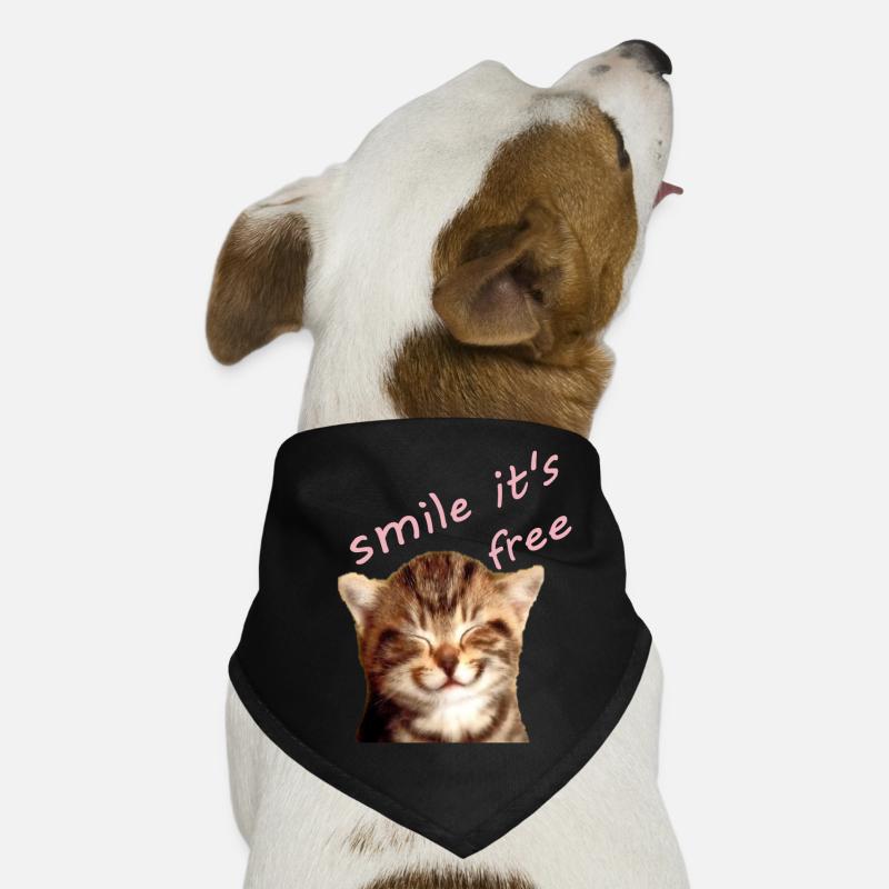 un chaton Bandana pour chien