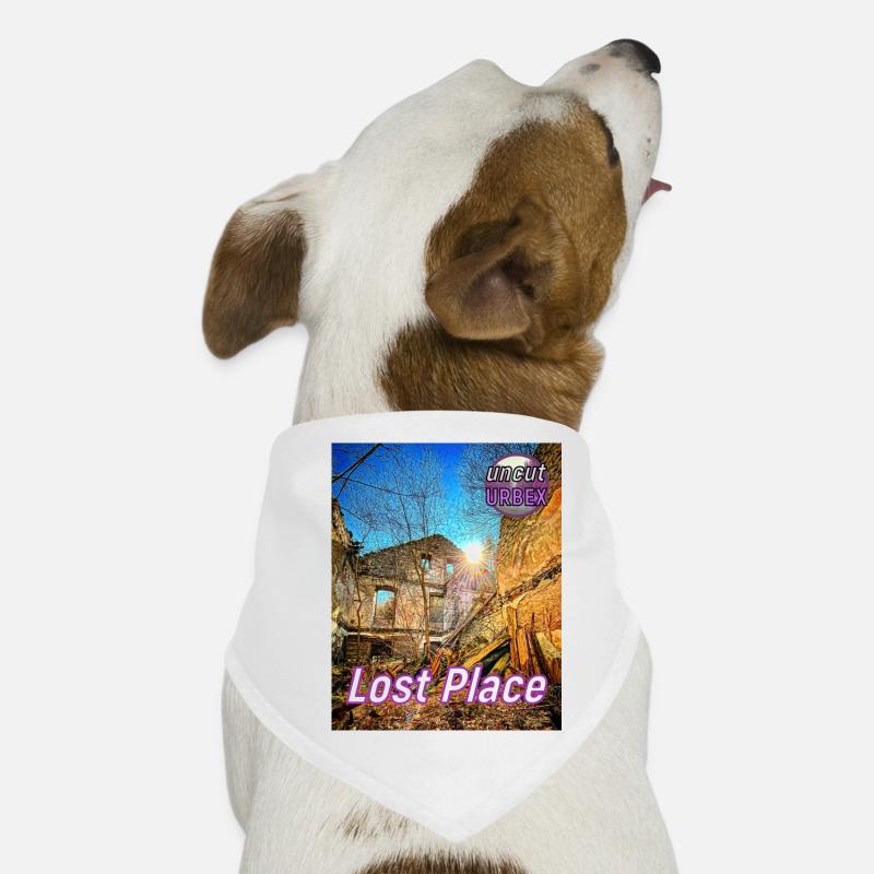 Lost Place - À l’ancienne forge Bandana pour chien