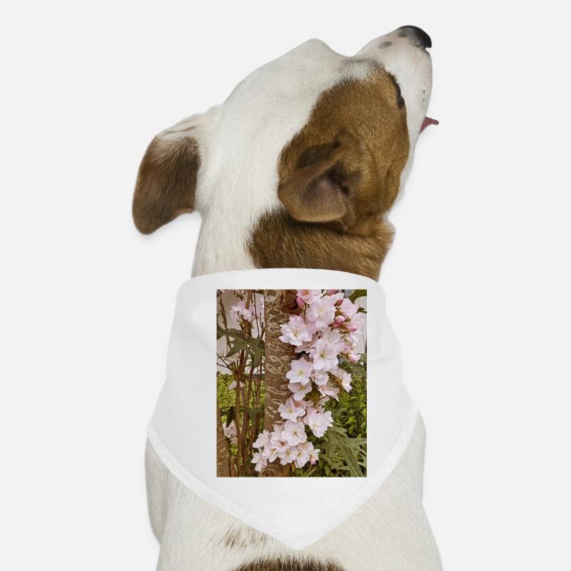 Fleurs de cerisier délicates sur tronc d’arbre Bandana pour chien