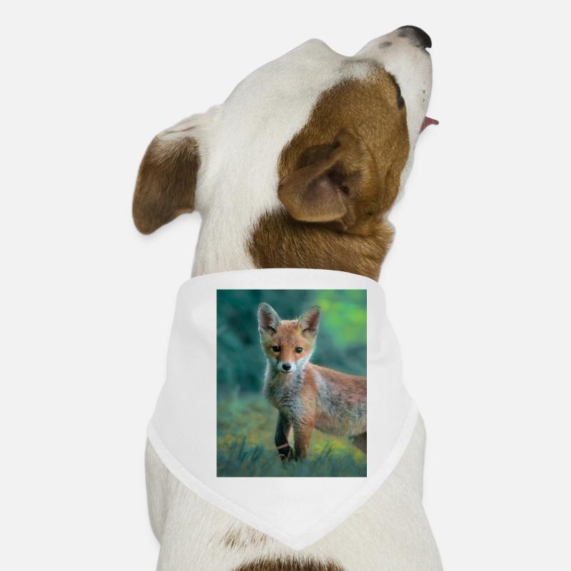 Young Fox Dog Bandana