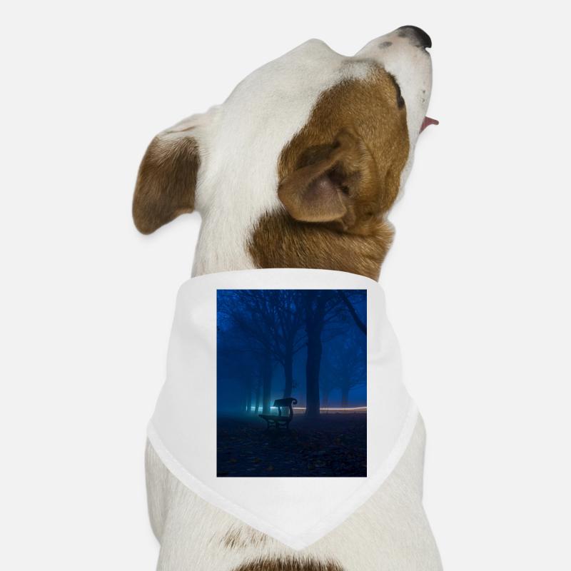 Banc solitaire dans le parc brumeux Bandana pour chien