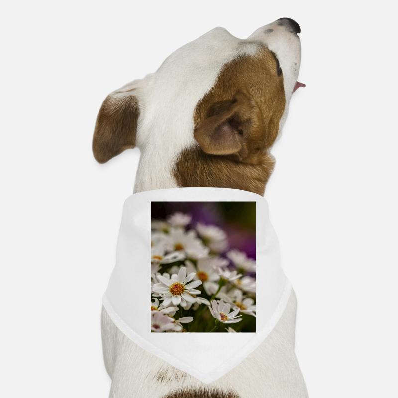 Gänseblümchen Blumen Hunde-Bandana