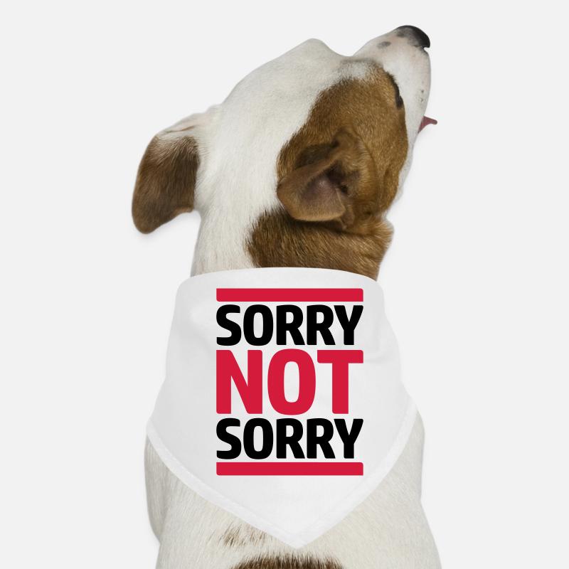 Citer Désolé pas Bandana pour chien