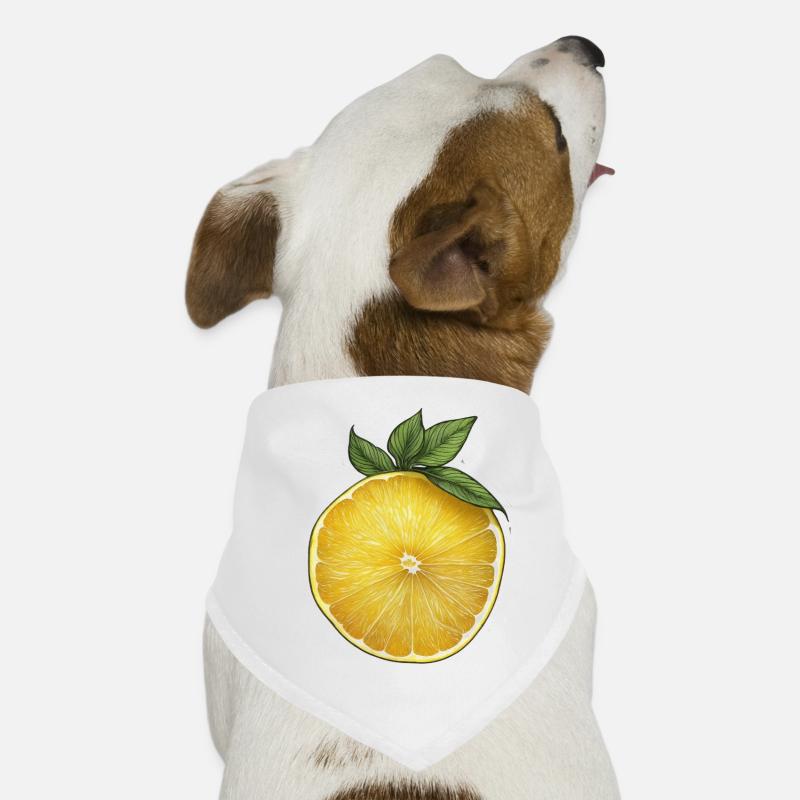 Lemonslice Hunde-Bandana