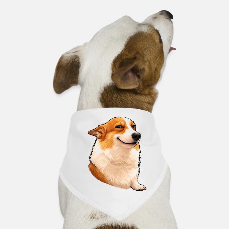 Smug Corgi – Chef Blick mit Attitude Hunde-Bandana