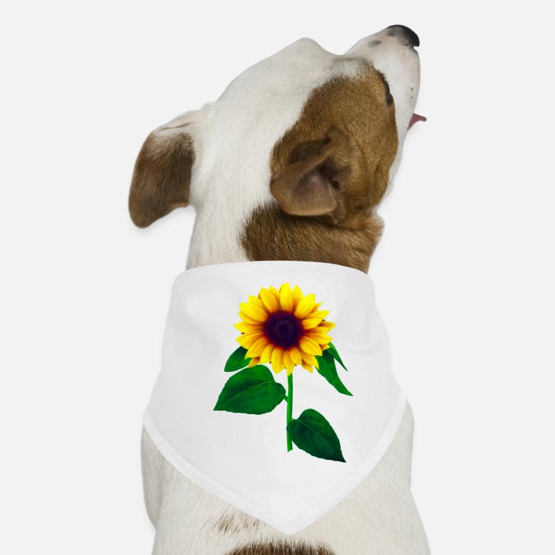 Sunflower Dog Bandana